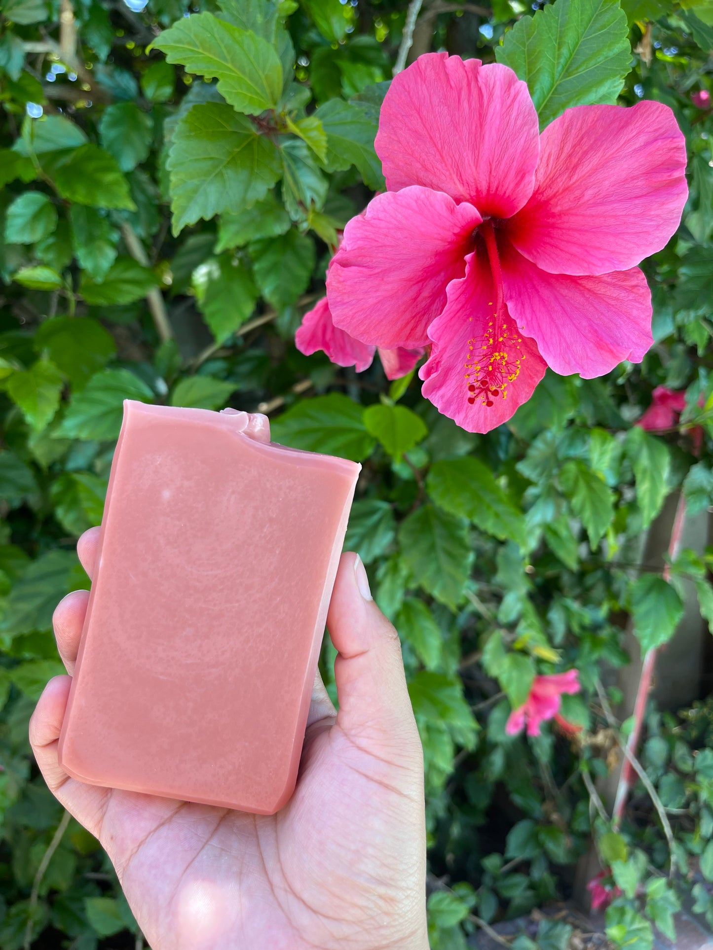 Rose Tallow