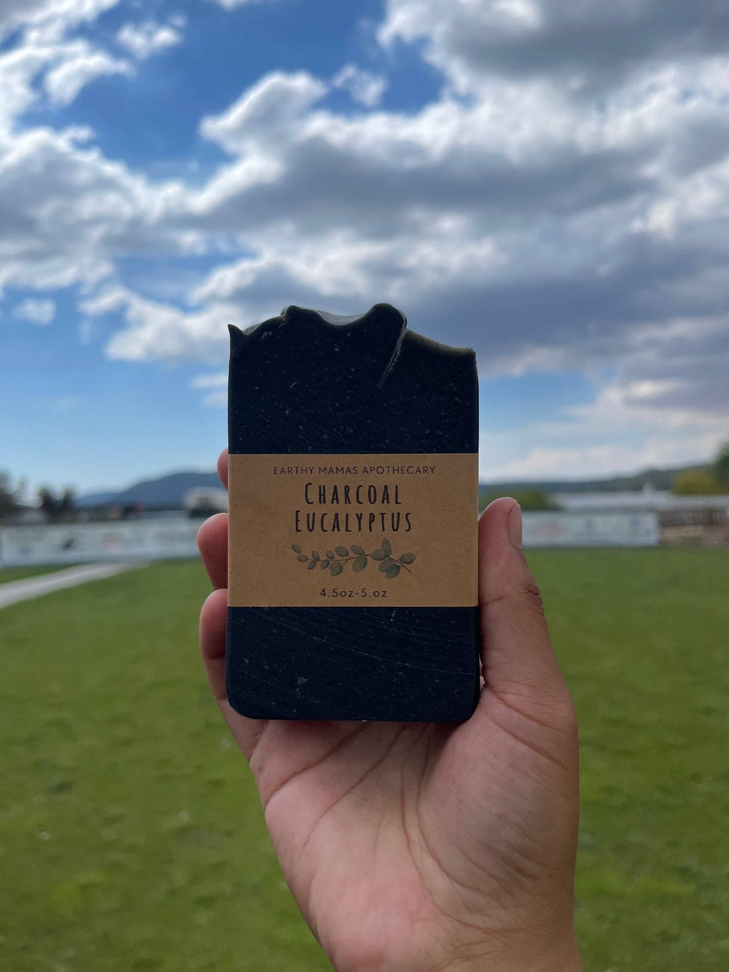 Charcoal Eucalyptus